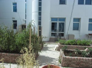 courtyard garden at TAISM